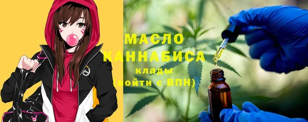 хмурый Горно-Алтайск