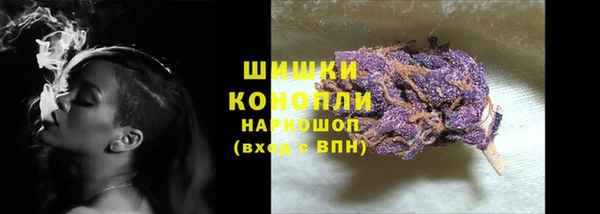 хмурый Горно-Алтайск